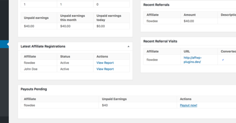 Affiliatewp Advanced Payouts Overview Dashboard